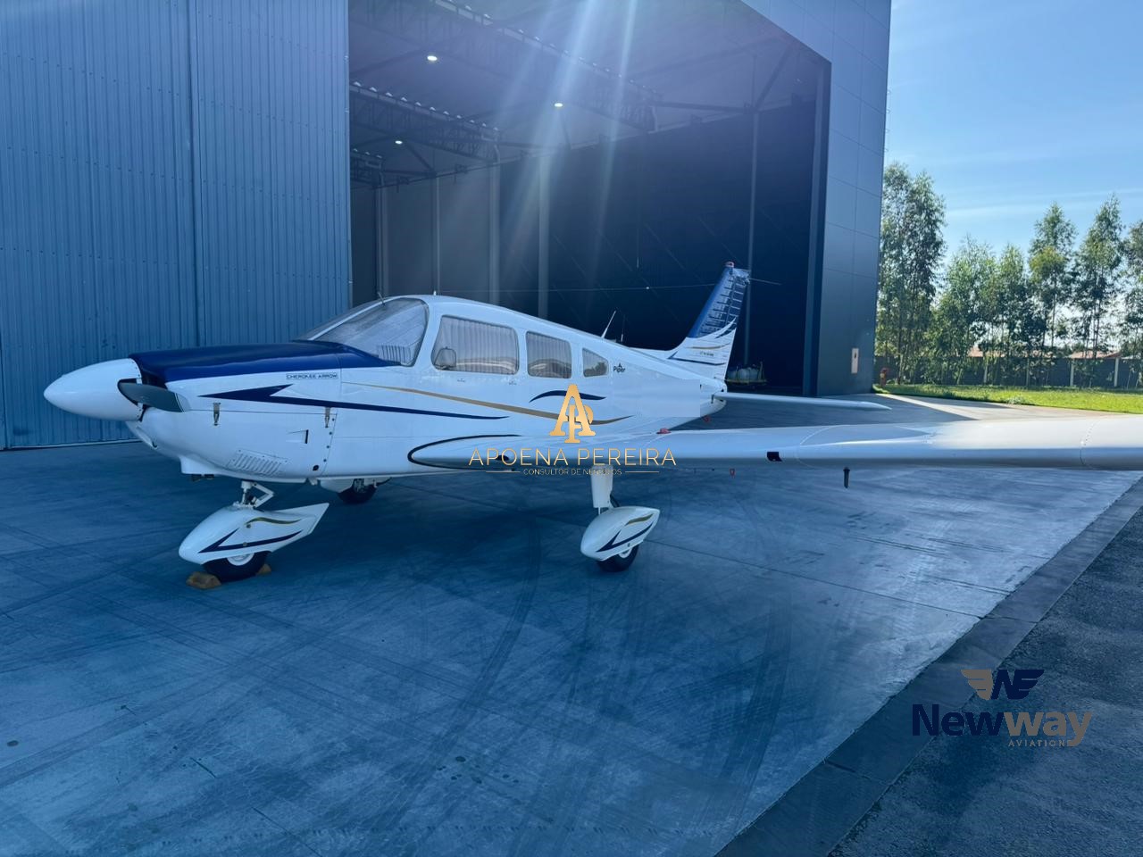 Piper PA-28-180 Cherokee Archer 1974 miniatura 2