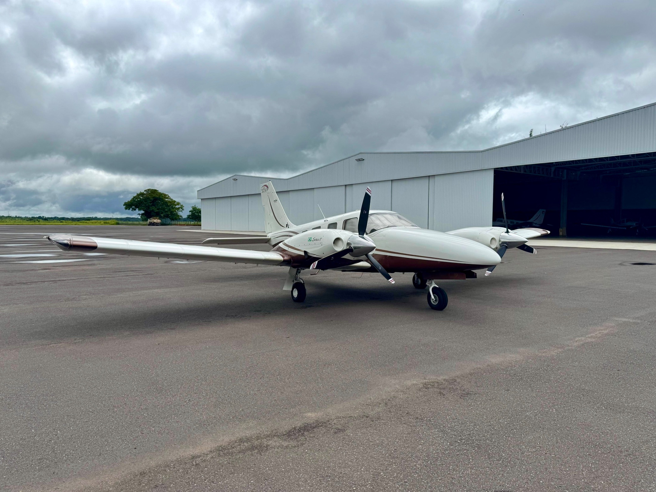 Piper Seneca V 2011 miniatura 3