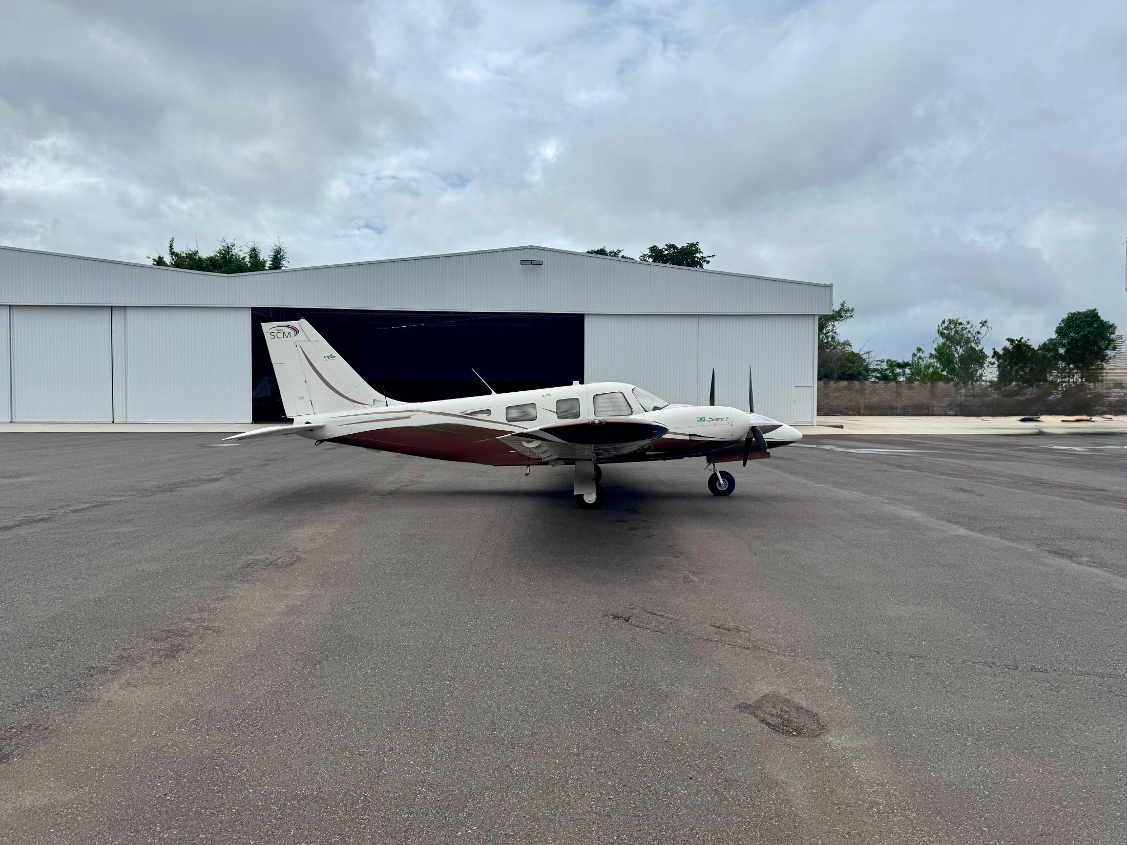 Piper Seneca V 2011 miniatura 4