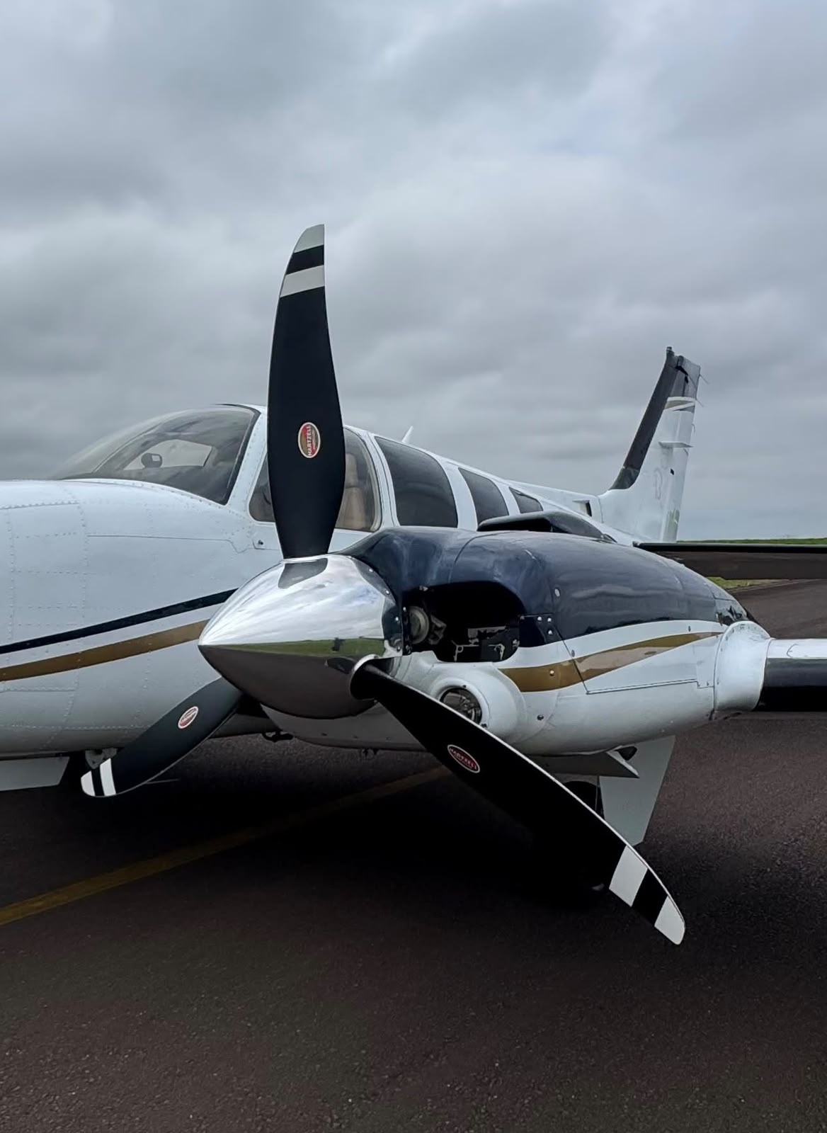 Beechcraft Baron 58 2011 miniatura 4