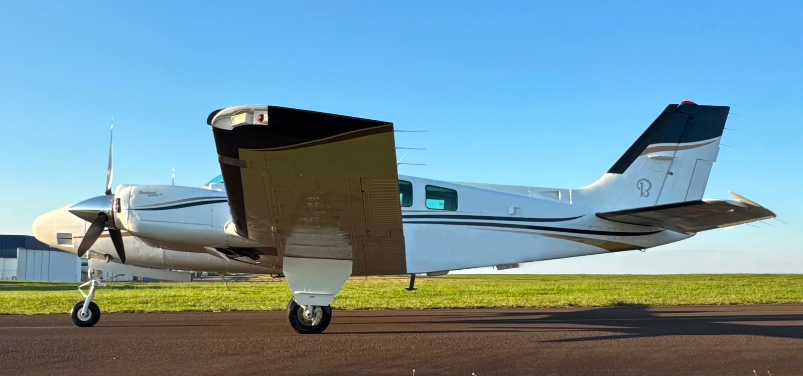 Beechcraft Baron G58 1999 miniatura 4