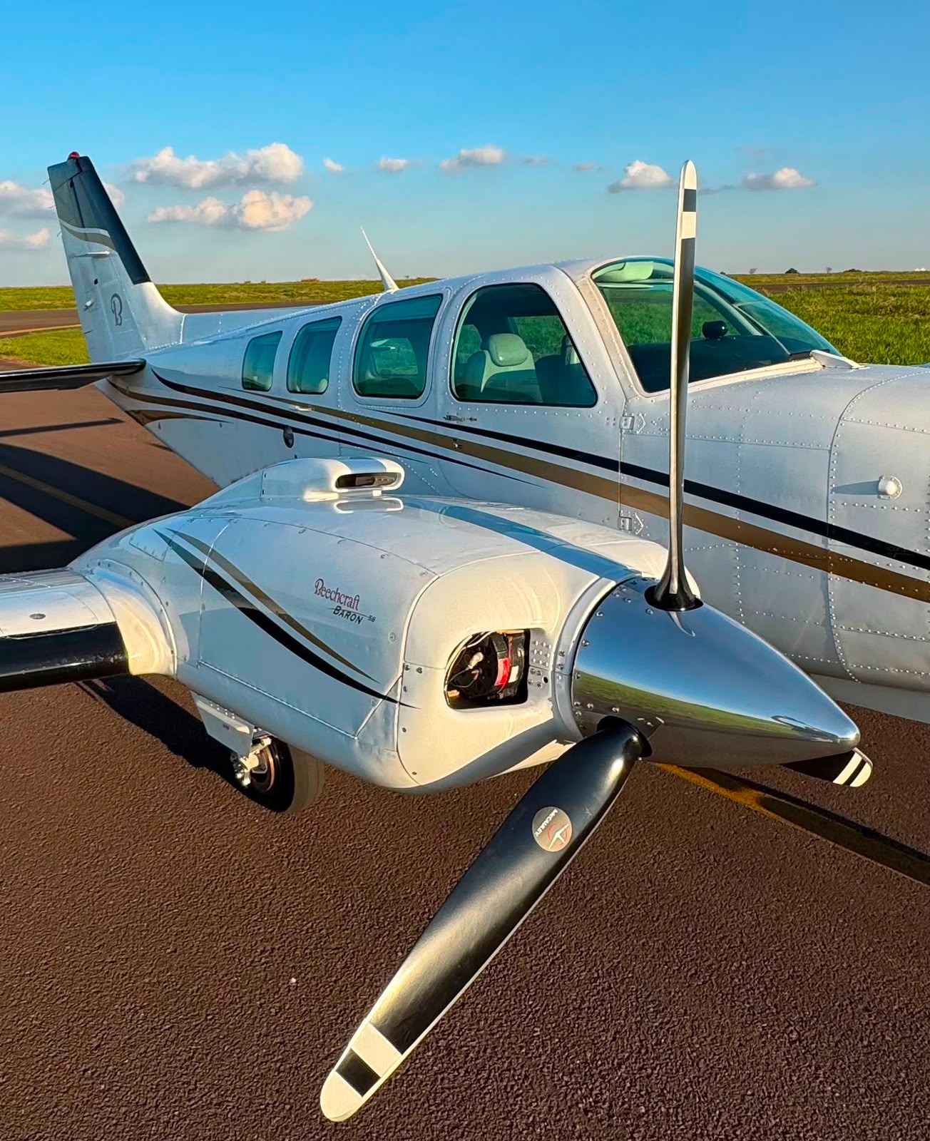 Beechcraft Baron 58 1999 miniatura 2