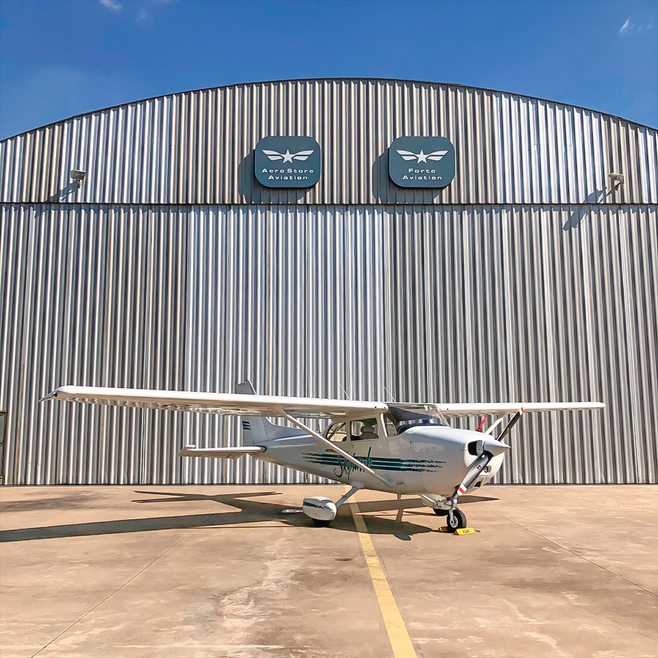 Cessna 172 Skyhawk 1977 miniatura 2