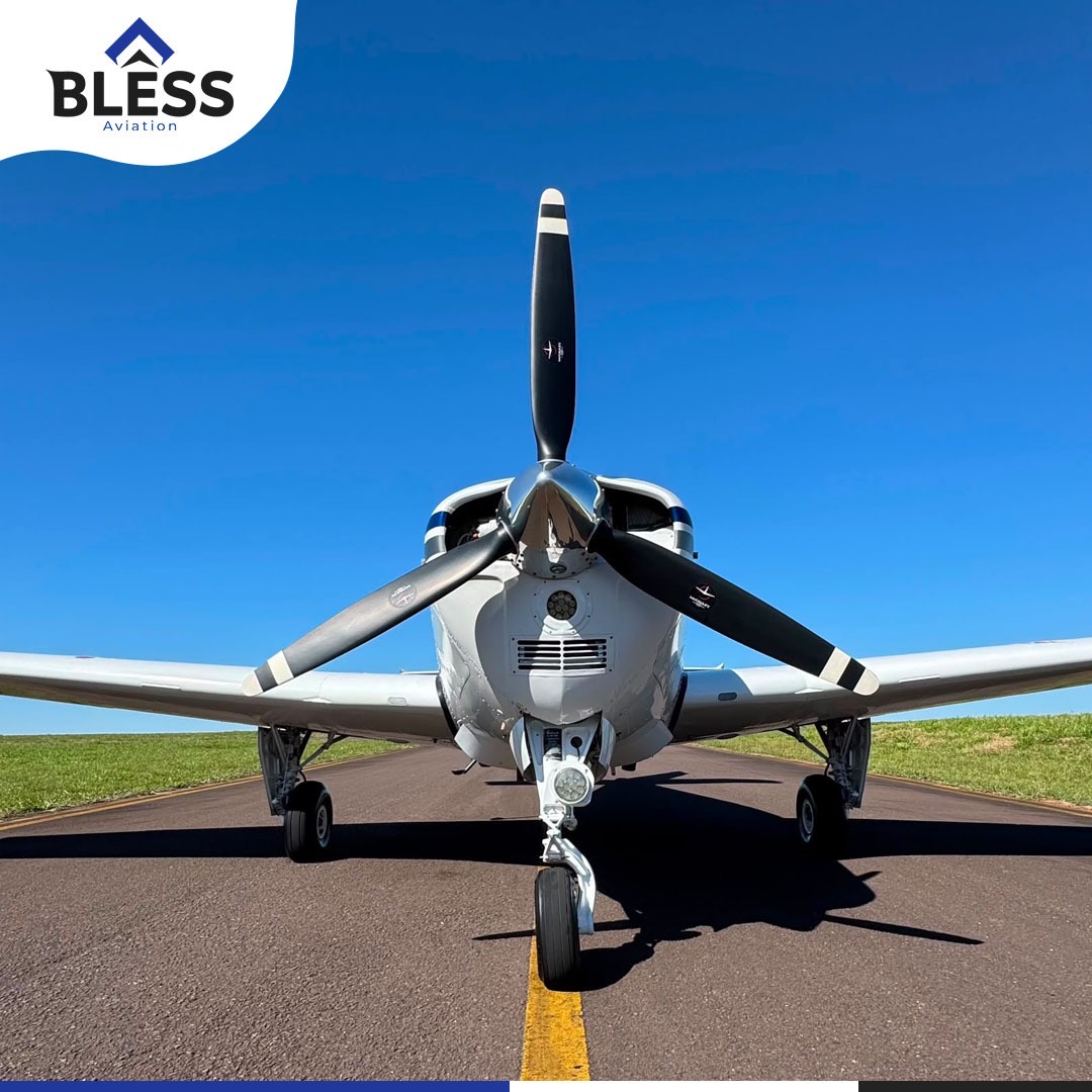 Beechcraft Bonanza F33A 1993 miniatura 3